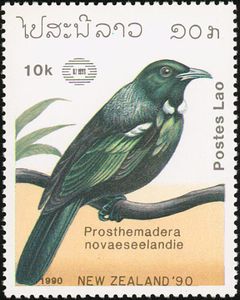TuiĀ (Prosthemadera novaeseelandiae)